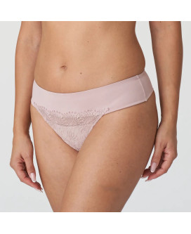 Tanga Sophora 0663181 (BDP) Prima Donna