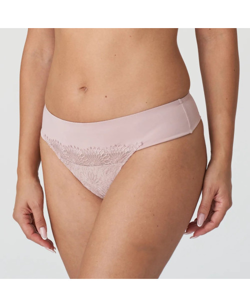 Tanga Sophora 0663181 (BDP) Prima Donna