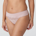Tanga Sophora 0663181 (BDP) Prima Donna