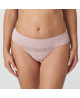 Tanga Sophora 0663181 (BDP) Prima Donna