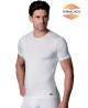 Camiseta 591 Abanderado