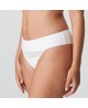 Tanga Sophora 0663181 (Bc) Prima Donna