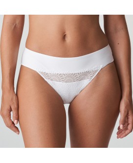 Tanga Sophora 0663181 (Bc) Prima Donna